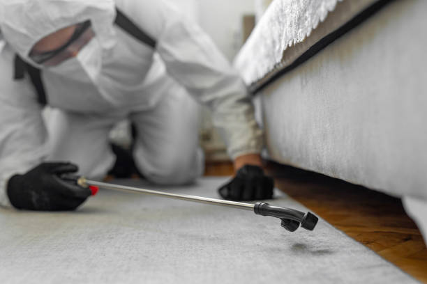 Professional Bed Bug Control technician working in Mount Olive, AL