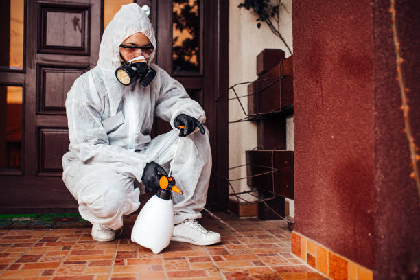 Reliable Bed Bug Control contractor in Mount Olive, AL by Nex Pest Control