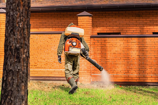 Trusted Rodent Control service in Mount Olive, AL - Nex Pest Control